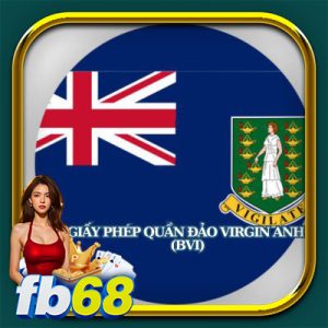 giấy phép quần đảo virgin anh (bvi)